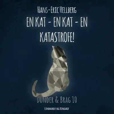 Omslag til En kat - en kat - en katastrofe!