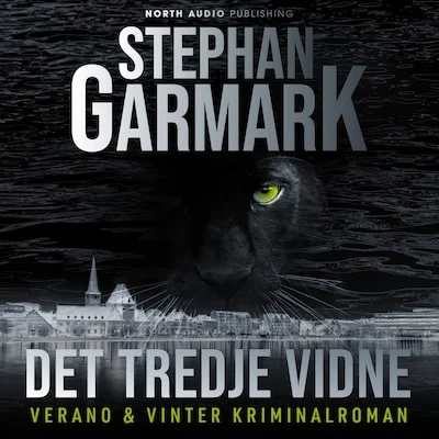 Omslag til Det tredje vidne